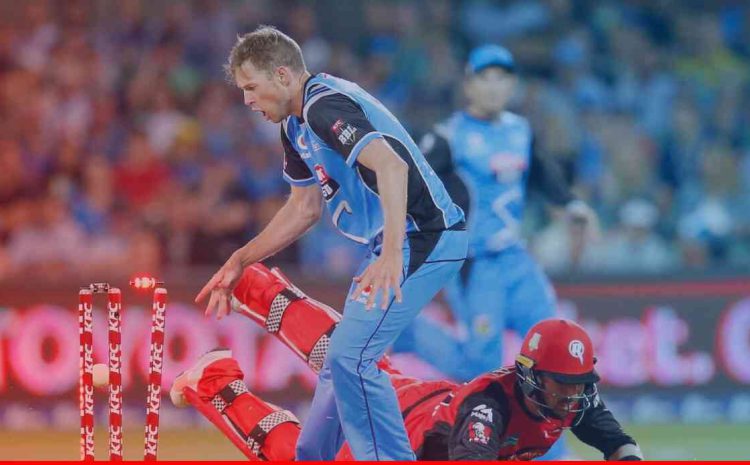  Who win today Melbourne Renegades vs Adelaide Strikers BBL match prediction Jan 24 *MLR vs ADS Match Prediction | MLR vs ADS Match Prediction